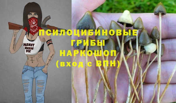 синтетический гашиш Орск