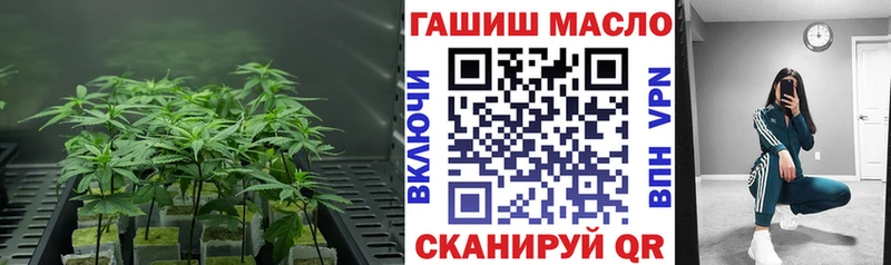 omg рабочий сайт  Заволжск  ТГК вейп с тгк 